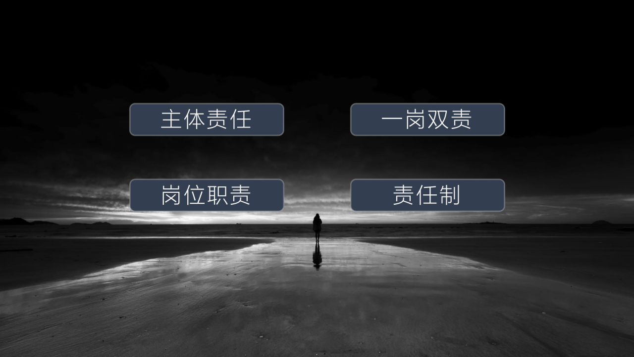 基于法理层面的安全生产责任制思考(1).pptx 第5页