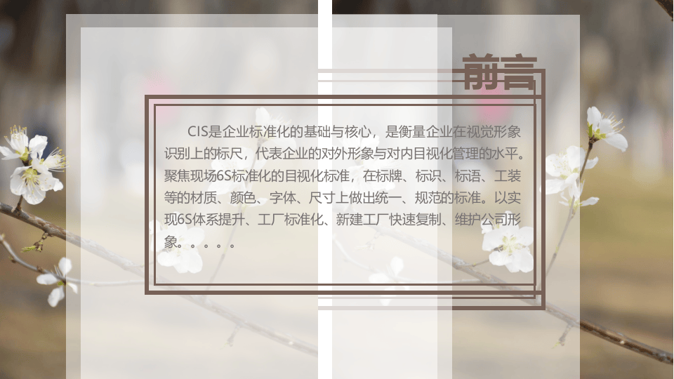 企业现场6S目视化标准CIS手册.pptx 第2页
