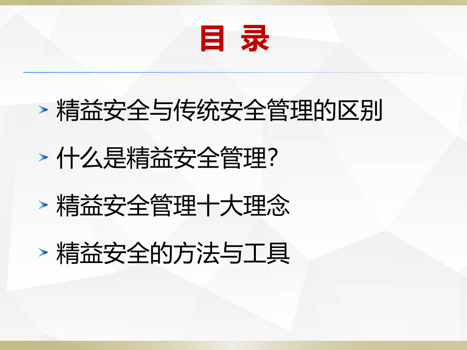 精益安全管理.pptx 第3页