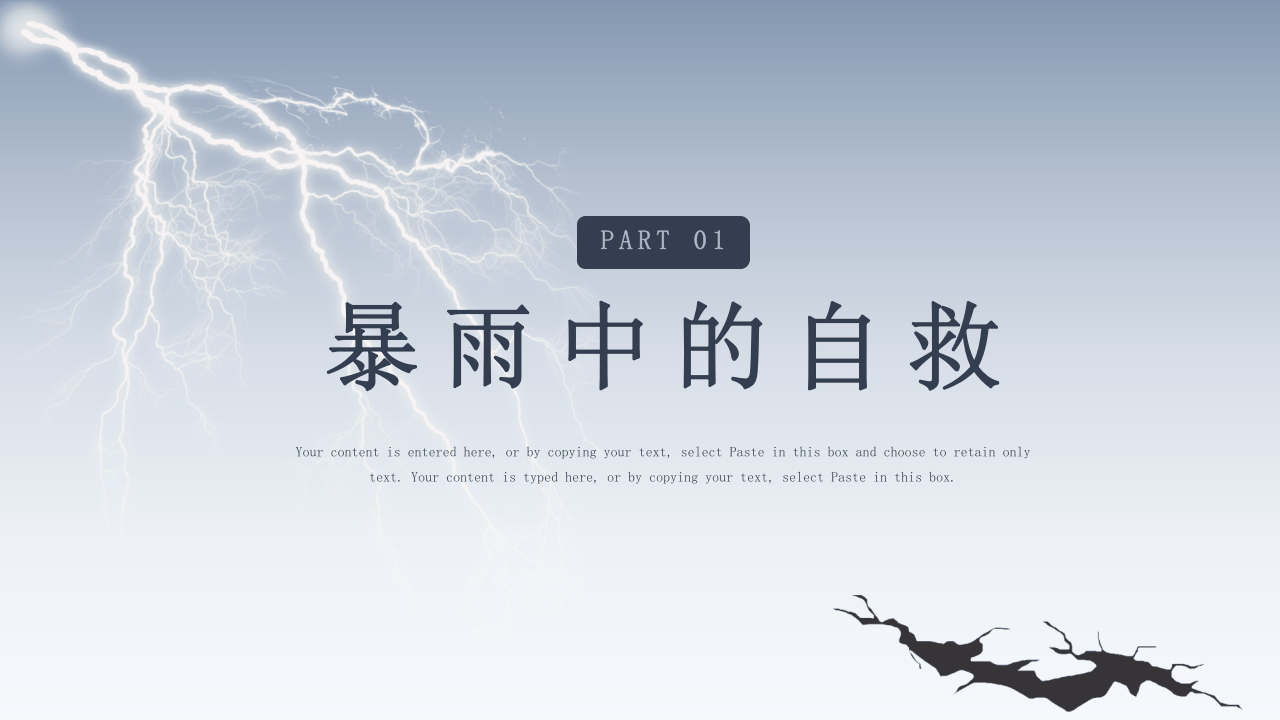 预防雷电洪灾暴雨安全知识班会.pptx 第3页