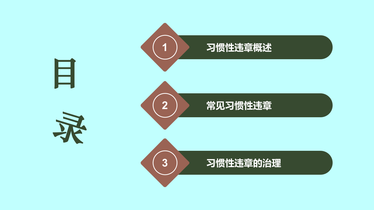 21.习惯性违章培训.pptx 第2页