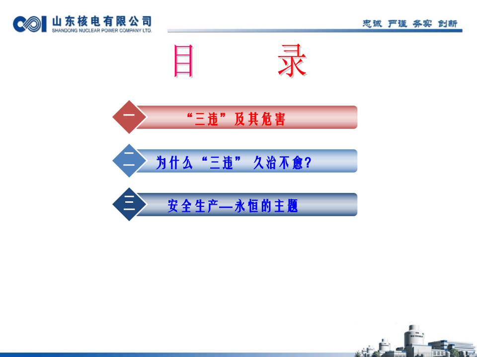_反&ldquo;三违&rdquo;培训论述（50页）.pptx 第2页