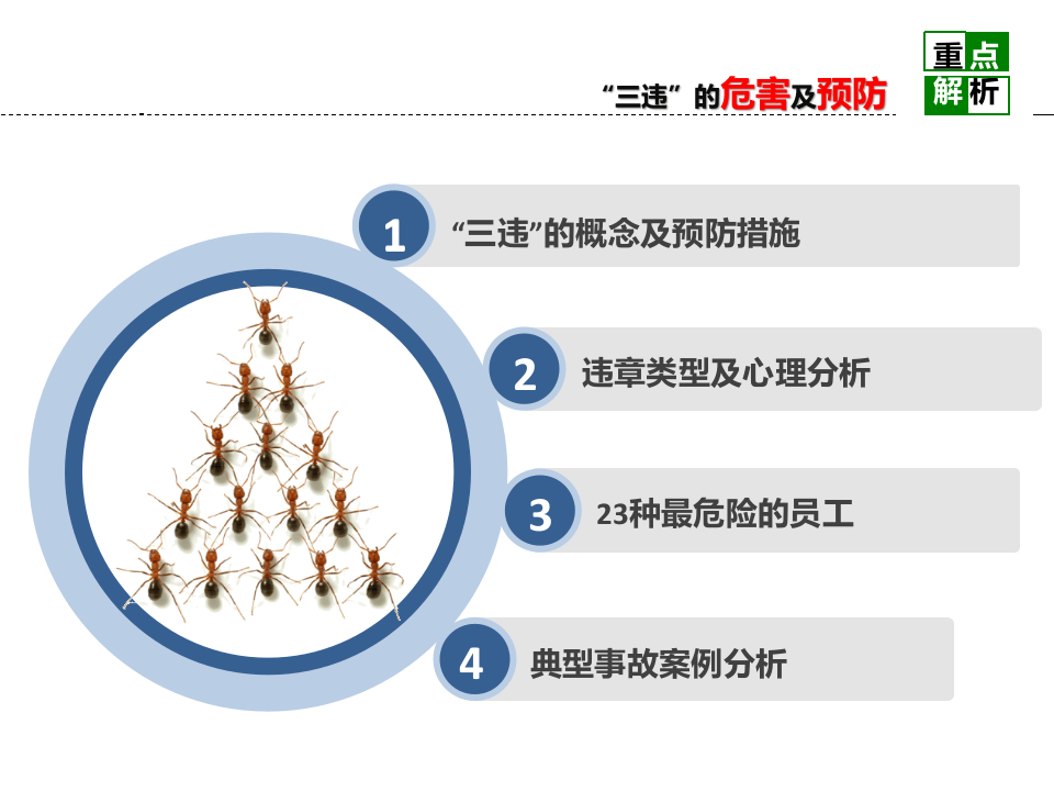 反&ldquo;三违&rdquo;警示班培训课件.pptx 第5页