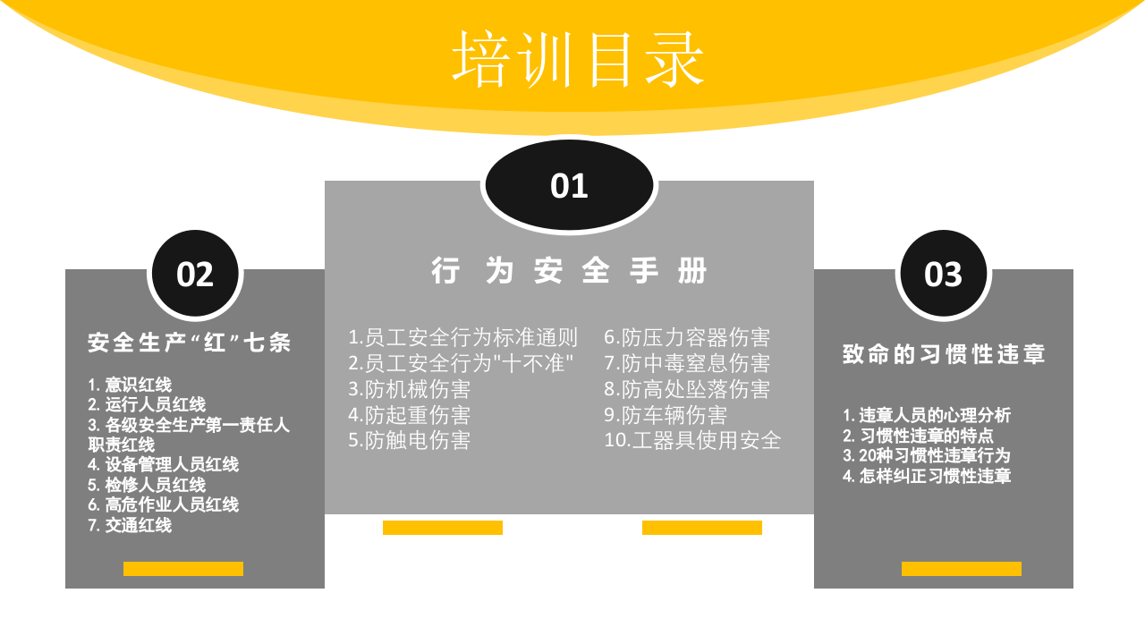 安全行为手册培训.pptx 第2页