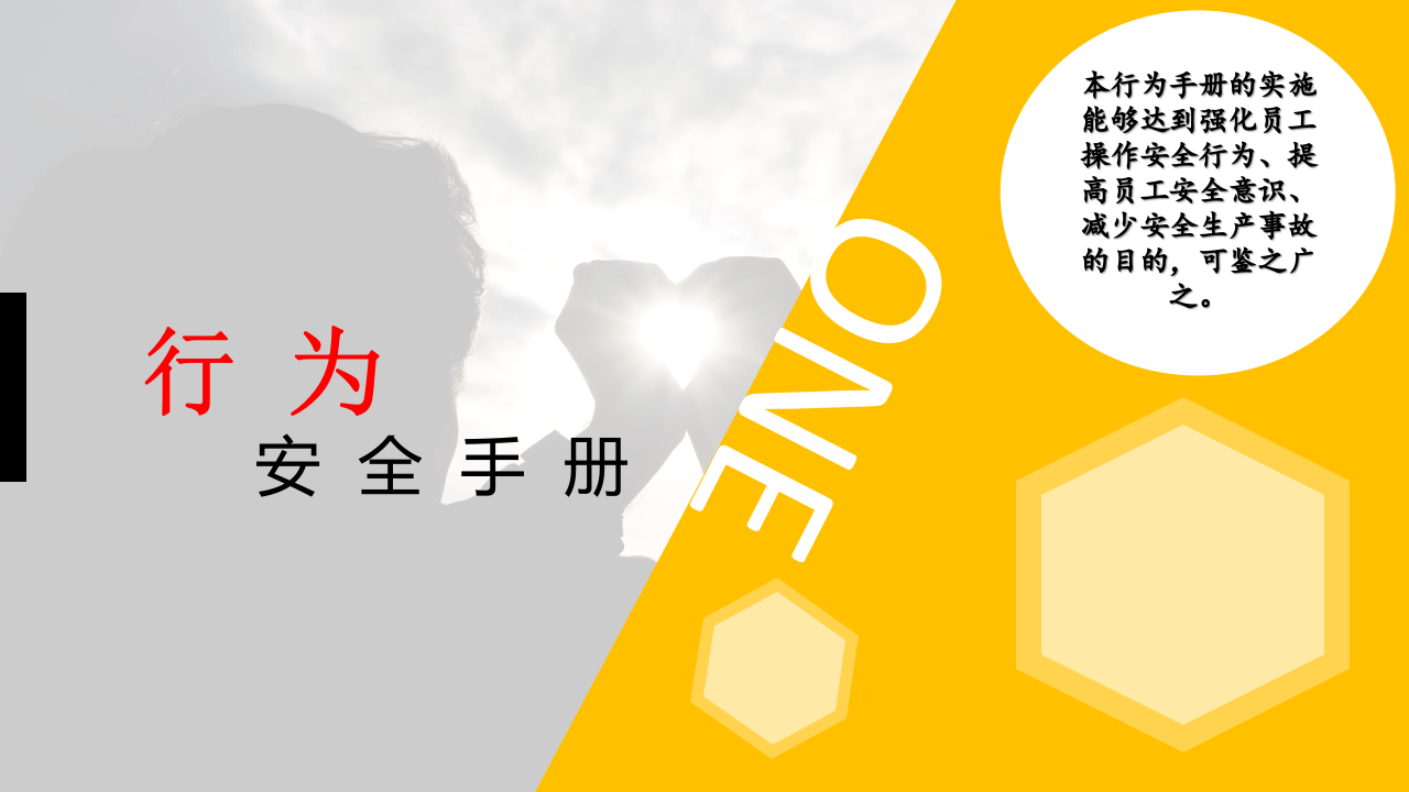 安全行为手册培训.pptx 第3页