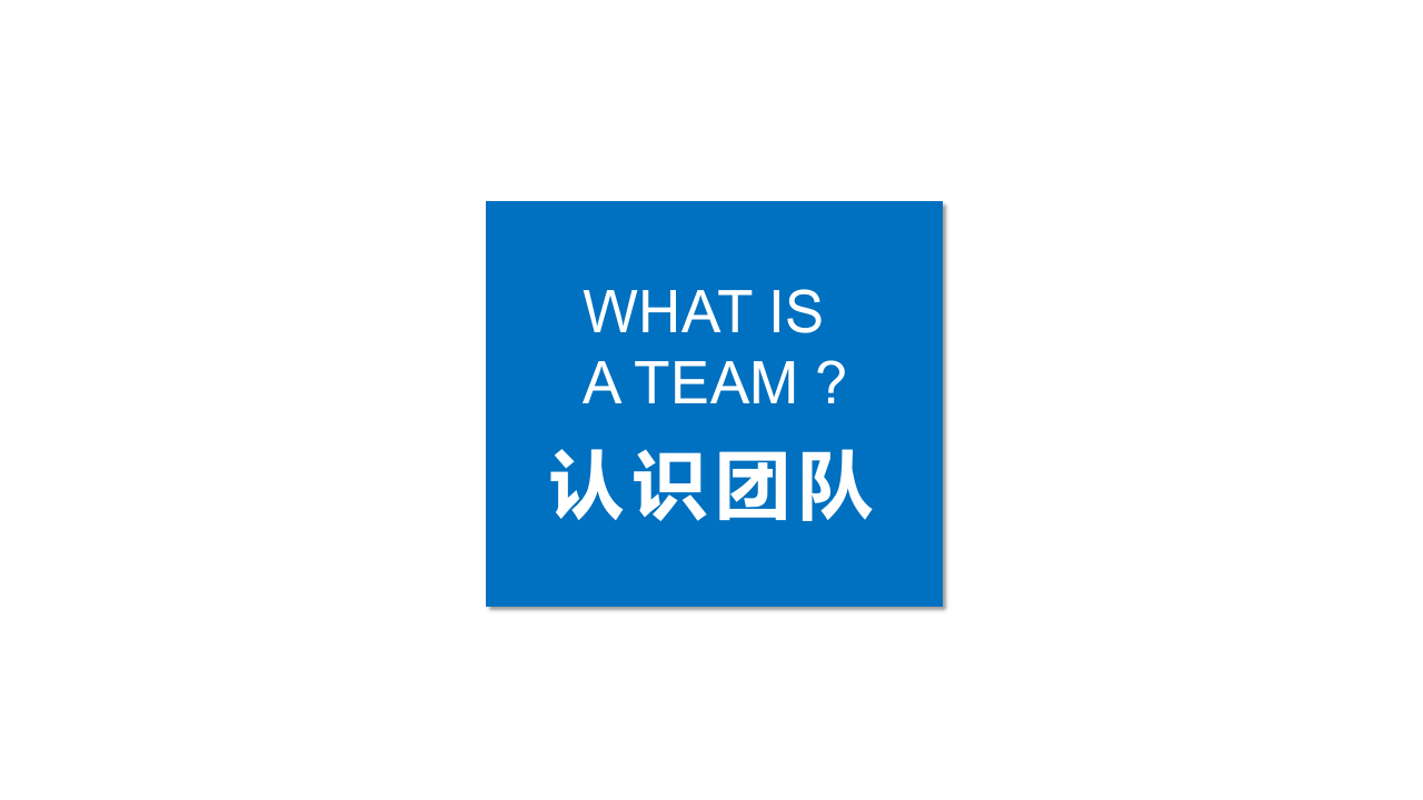 团队凝聚力.pptx 第3页