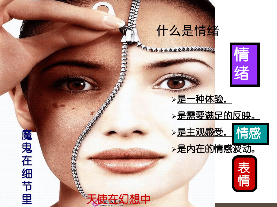 情绪管理与压力应对.ppt 第5页