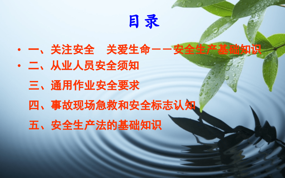 最新最全面的企业安全生产培训PPT.ppt 第3页