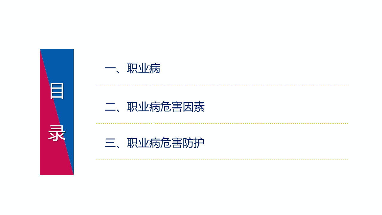 用人单位职业卫生培训（74页）.pptx 第2页