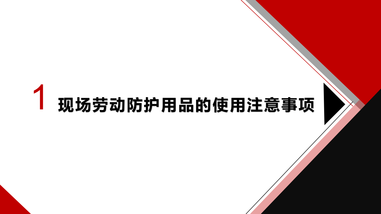 现场劳动防护用品的使用和管理.pptx 第3页