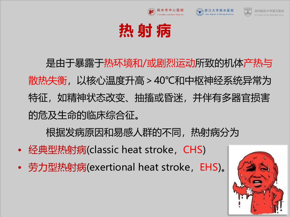 夏季高温热射病的防治措施（31页）.pptx 第3页