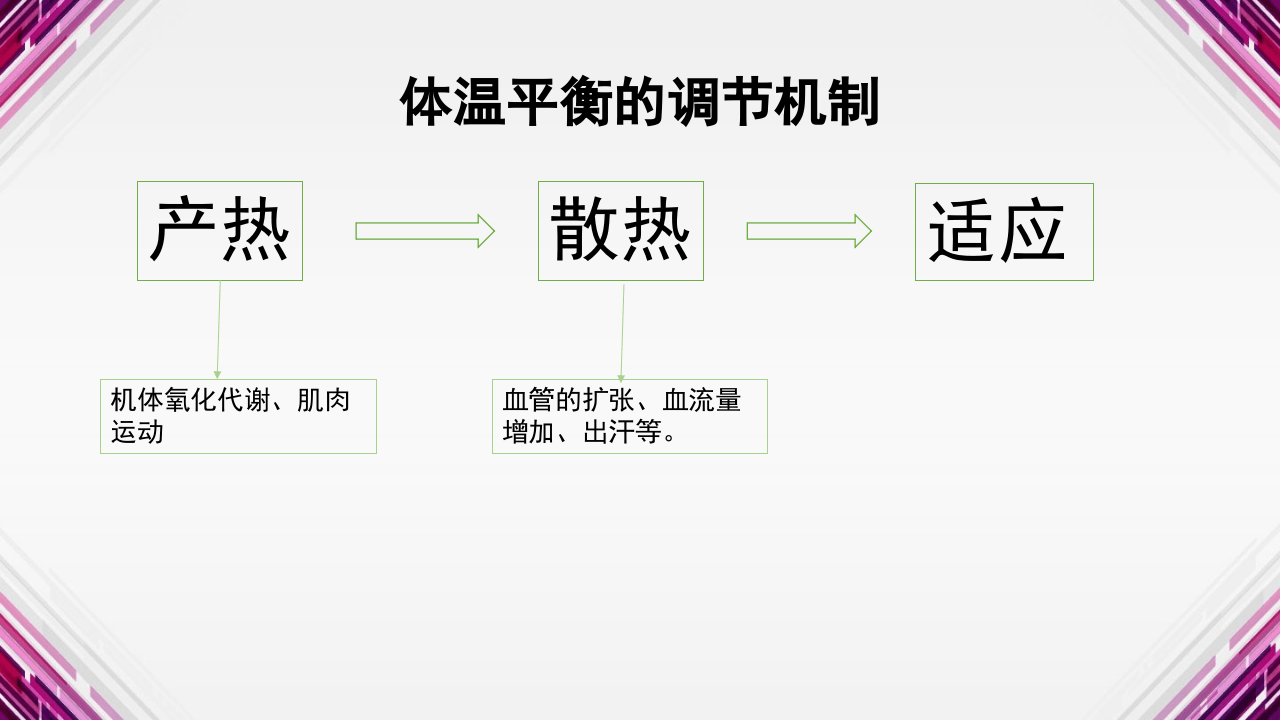 夏季防暑降温知识培训.pptx 第5页