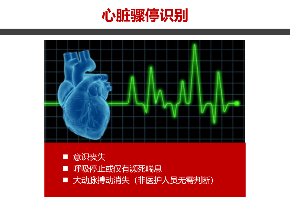 成人心肺复苏.pptx 第3页