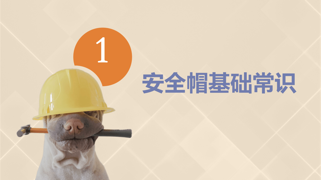 安全帽基础培训.pptx 第3页