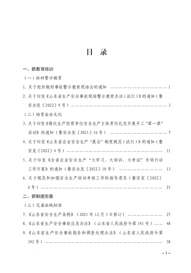 山东省安全生产八抓二十项创新举措文件汇编.pdf 第5页