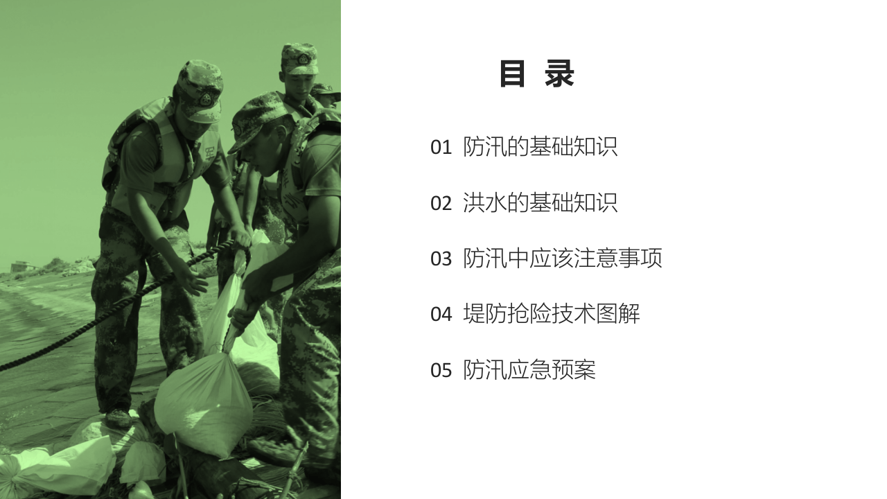 防汛与抢险.pptx 第2页