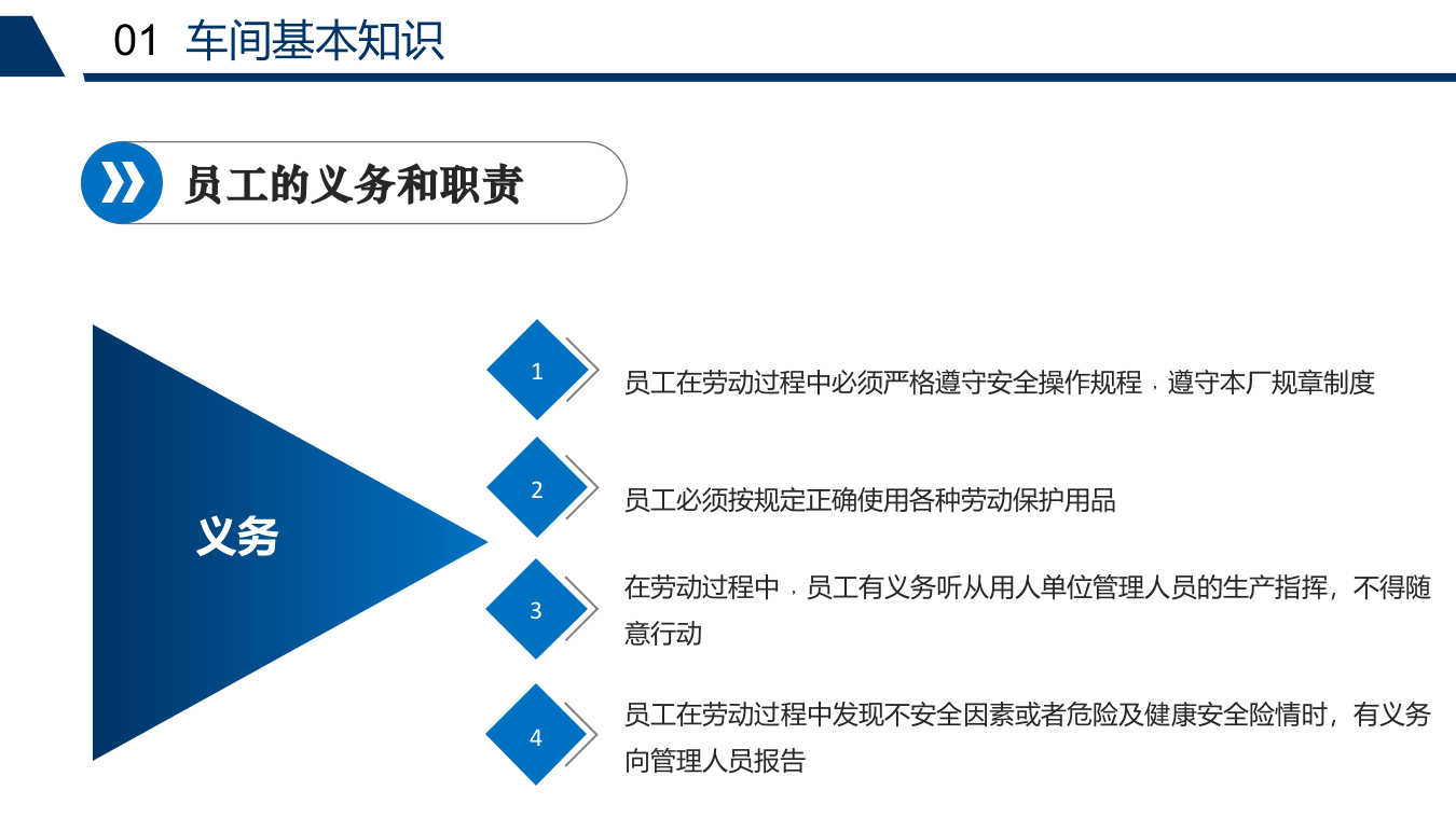 班组级安全培训.pptx 第5页