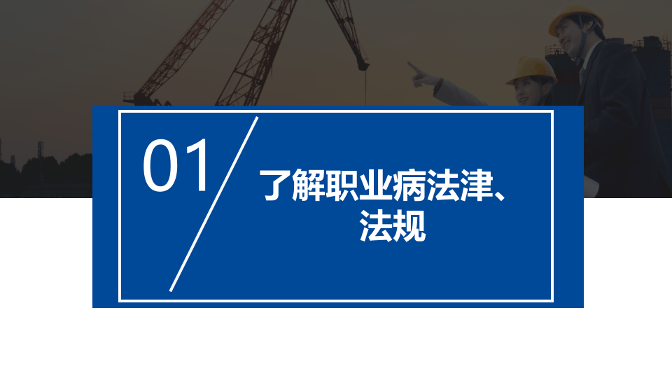 职业健康培训.pptx 第4页
