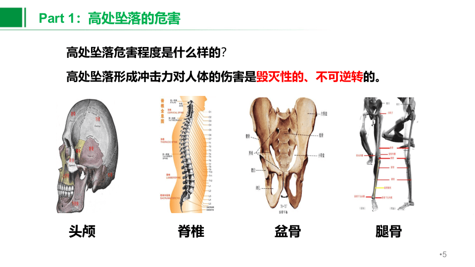 高处坠落事故案例培训（30页）.pptx 第5页