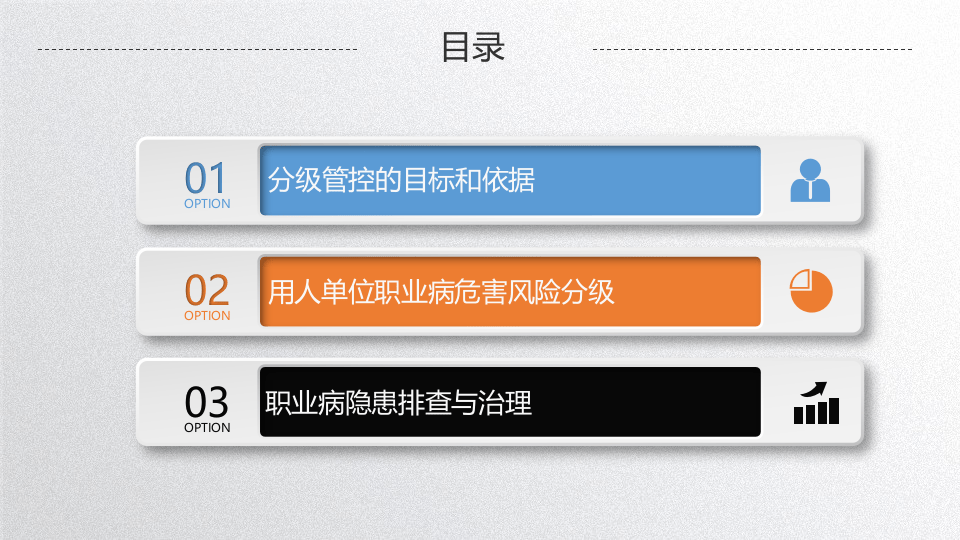 职业病危害风险分级与隐患排查治理.pptx 第3页