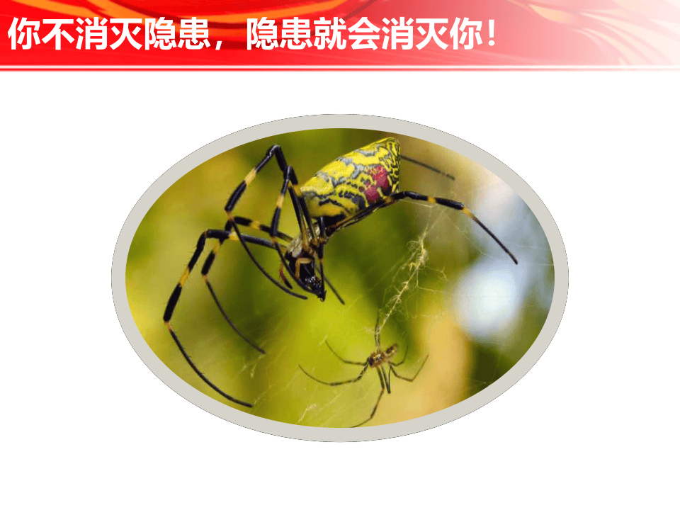 之如何预防事故发生.pptx 第5页