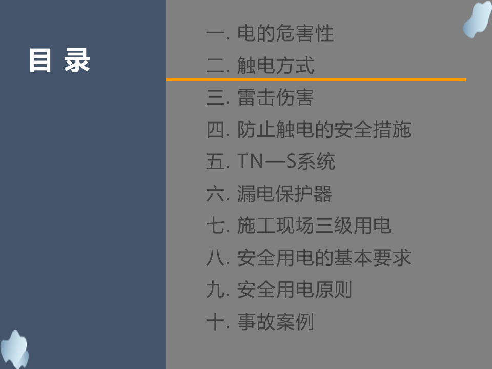 安全用电（45页）.pptx 第4页