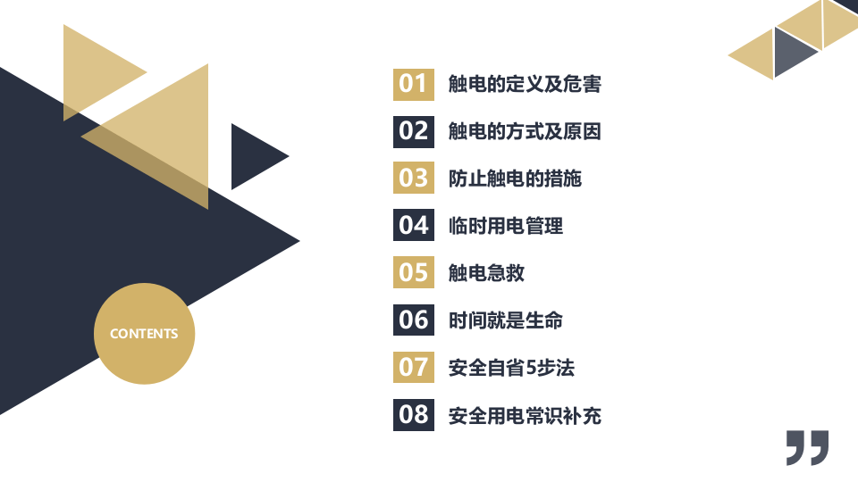 防触电及安全用电.pptx 第2页