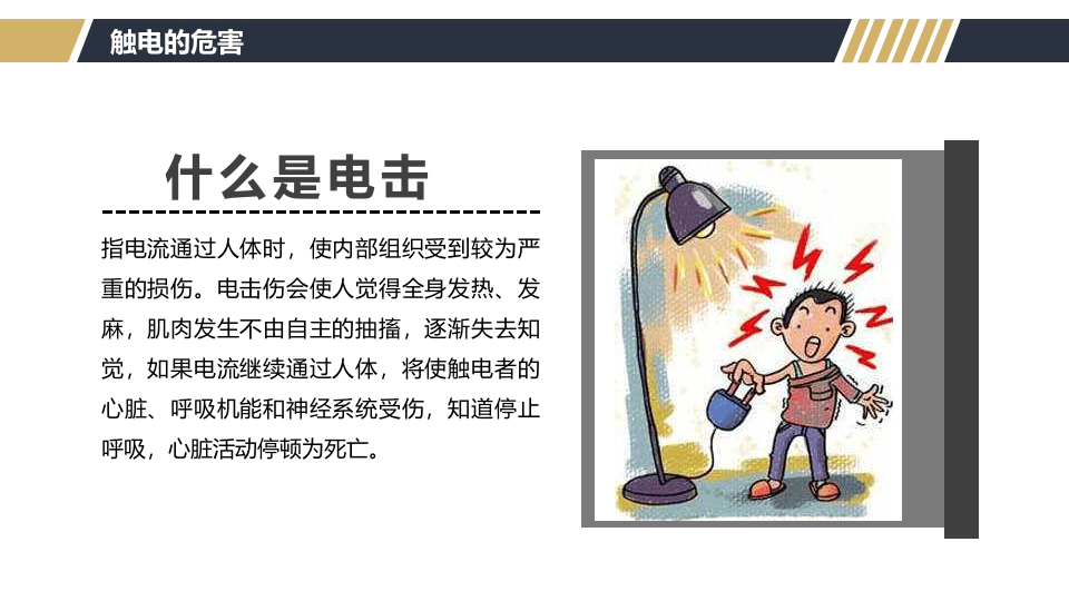 防触电及安全用电.pptx 第5页