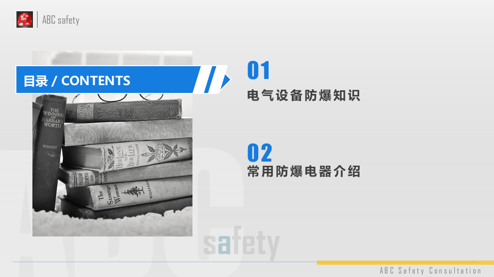 防爆电气基础安全知识.pptx 第2页