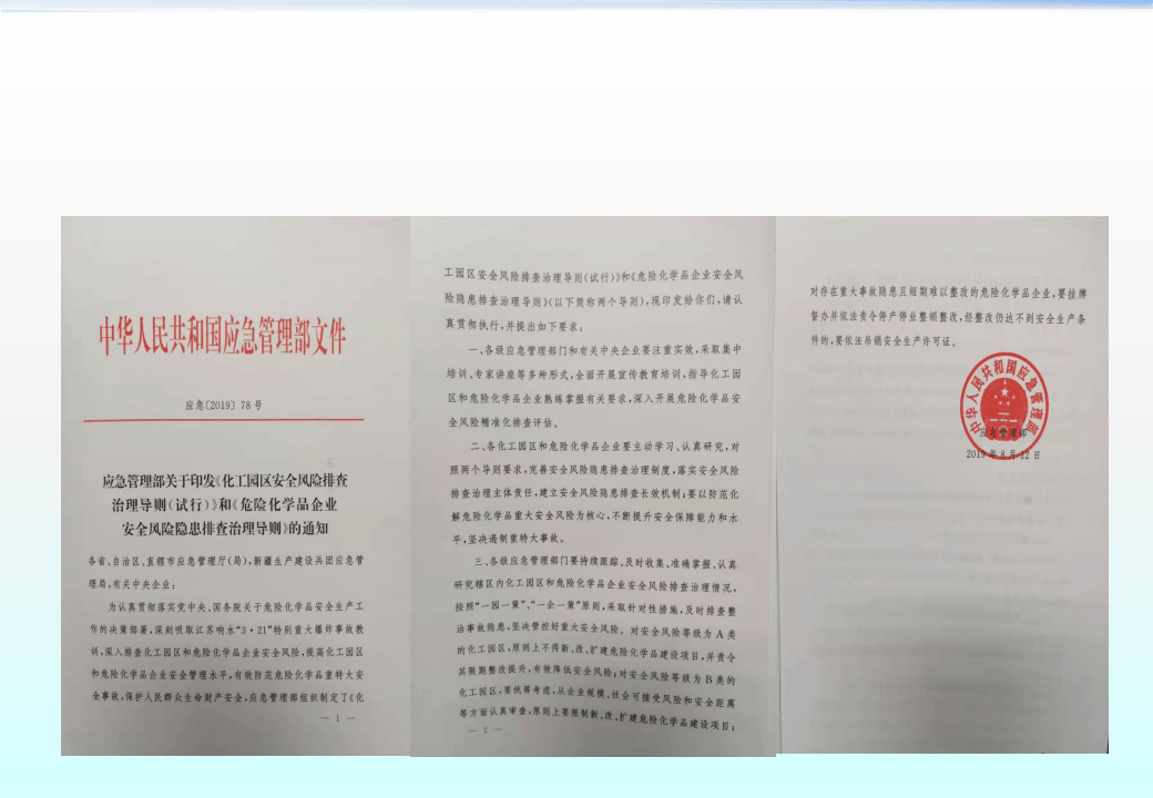 《化工园区安全风险排查治理导则》《危险化学品企业安全风险隐患排查治理导则》解读.pptx 第3页