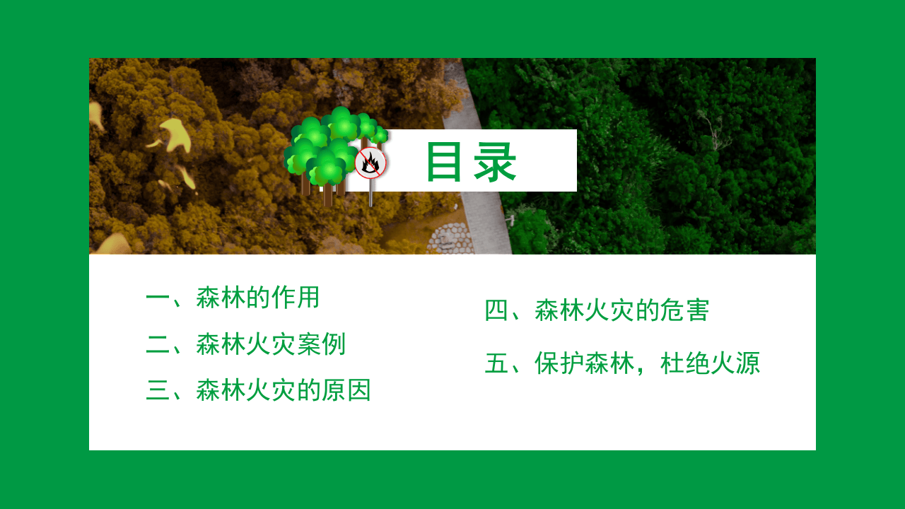 森林防火主题班会.pptx 第2页