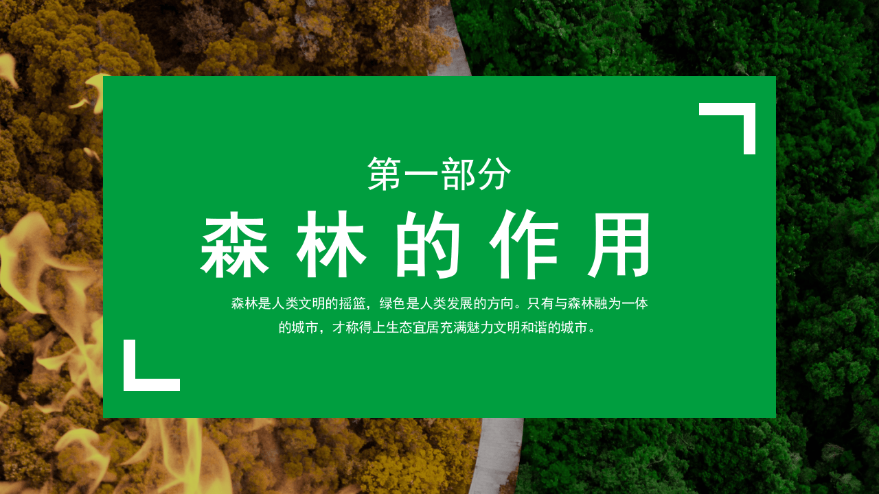 森林防火主题班会.pptx 第3页