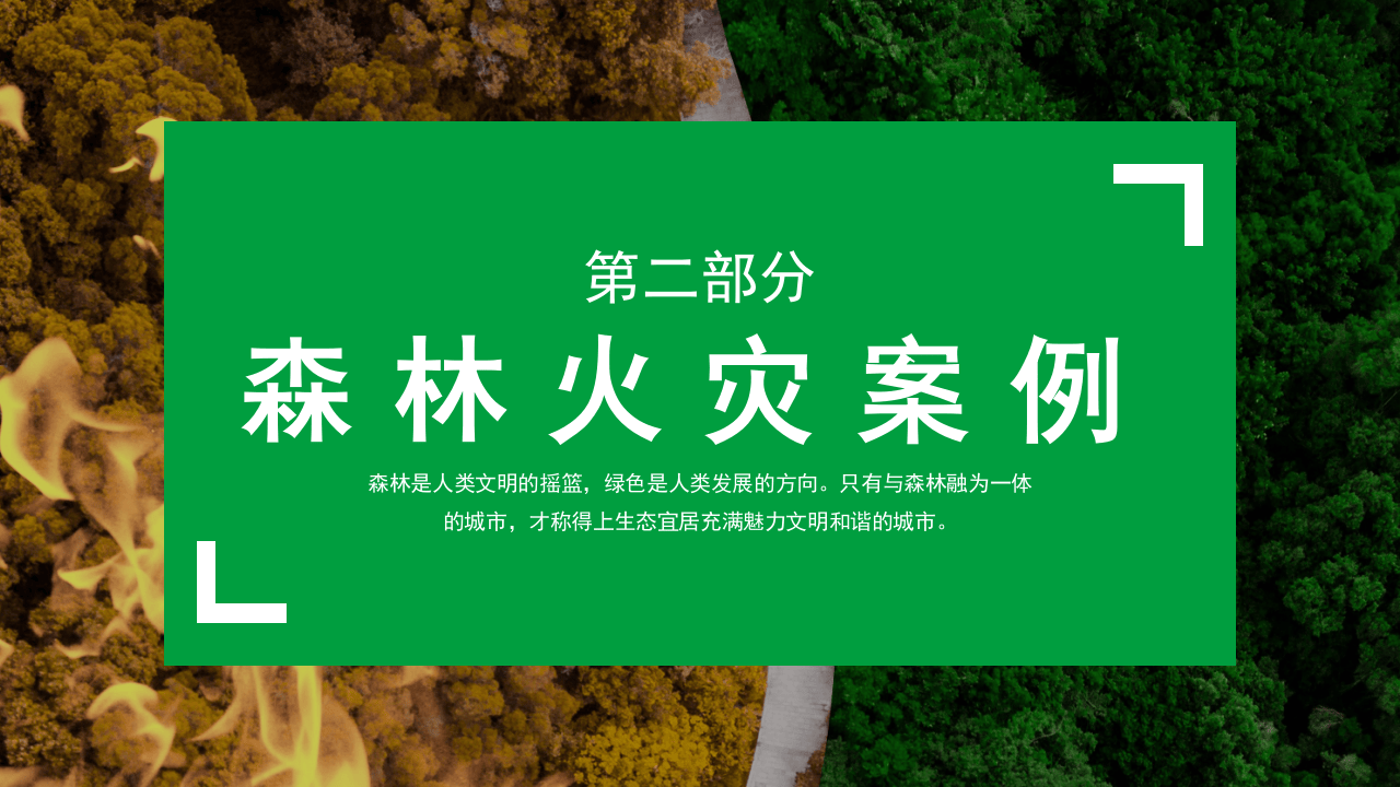 森林防火主题班会.pptx 第5页