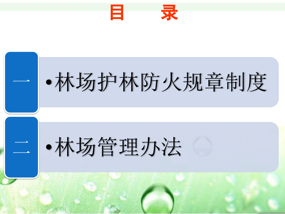森林防火培训.ppt 第2页