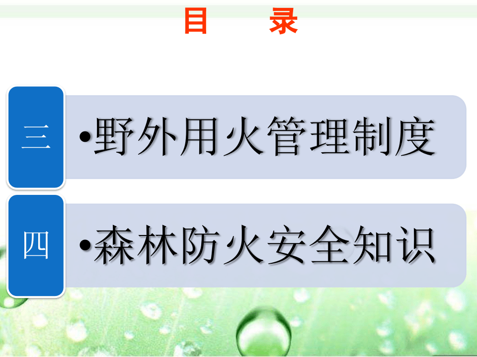 森林防火培训.ppt 第3页