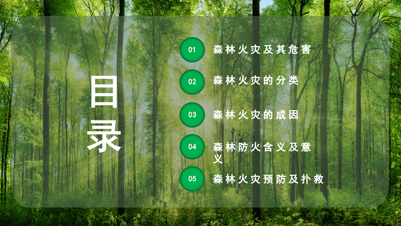 森林防火人人有责.pptx 第2页