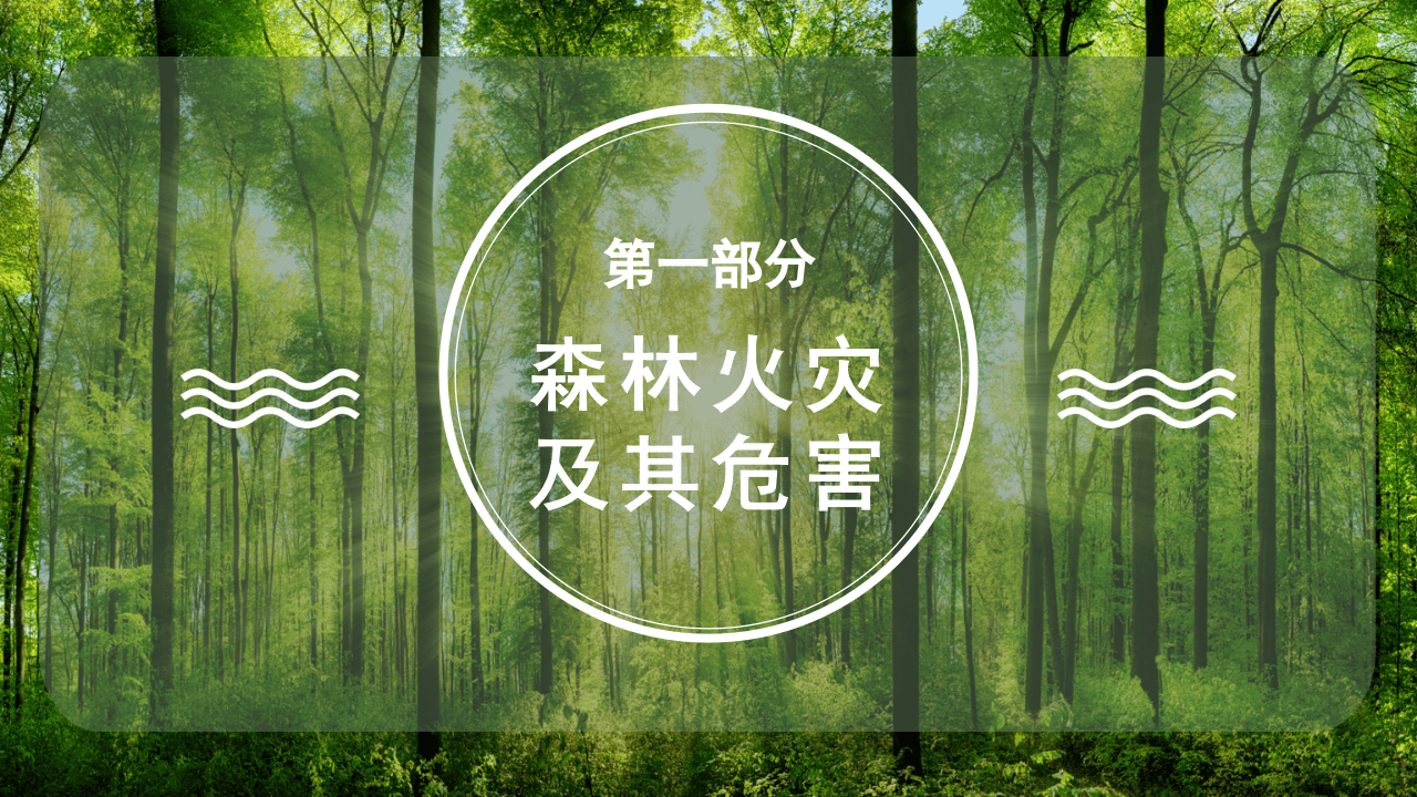 森林防火人人有责.pptx 第3页