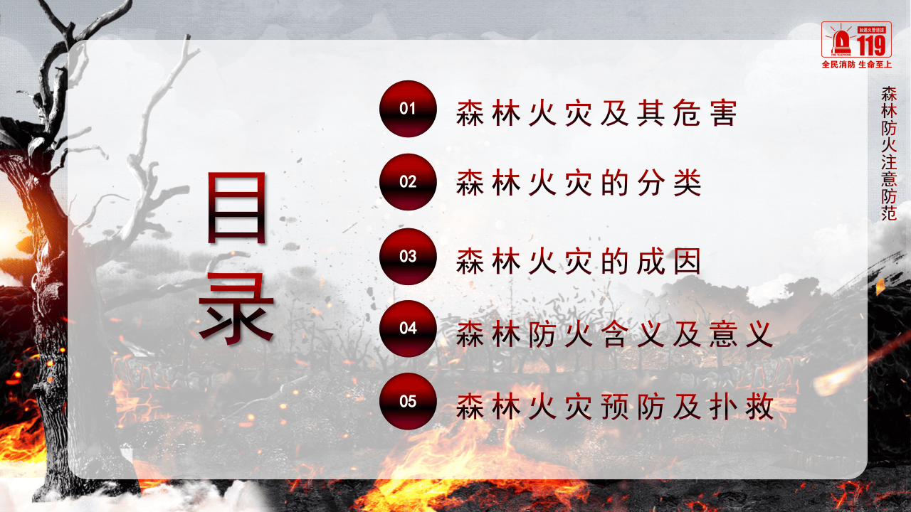 森林防火不要让英雄的血白流.pptx 第2页