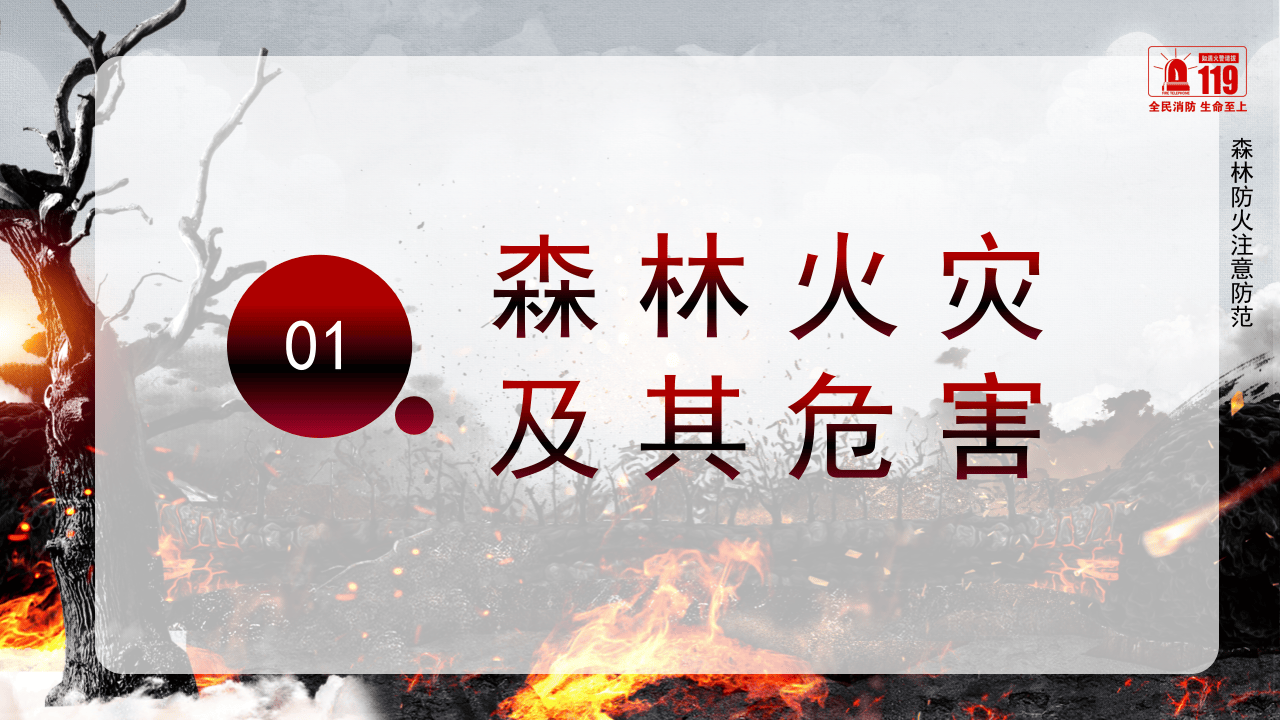 森林防火不要让英雄的血白流.pptx 第3页