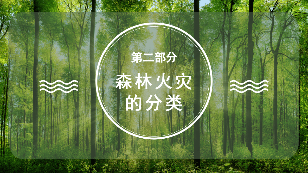 森林防火人人有责.pptx 第5页