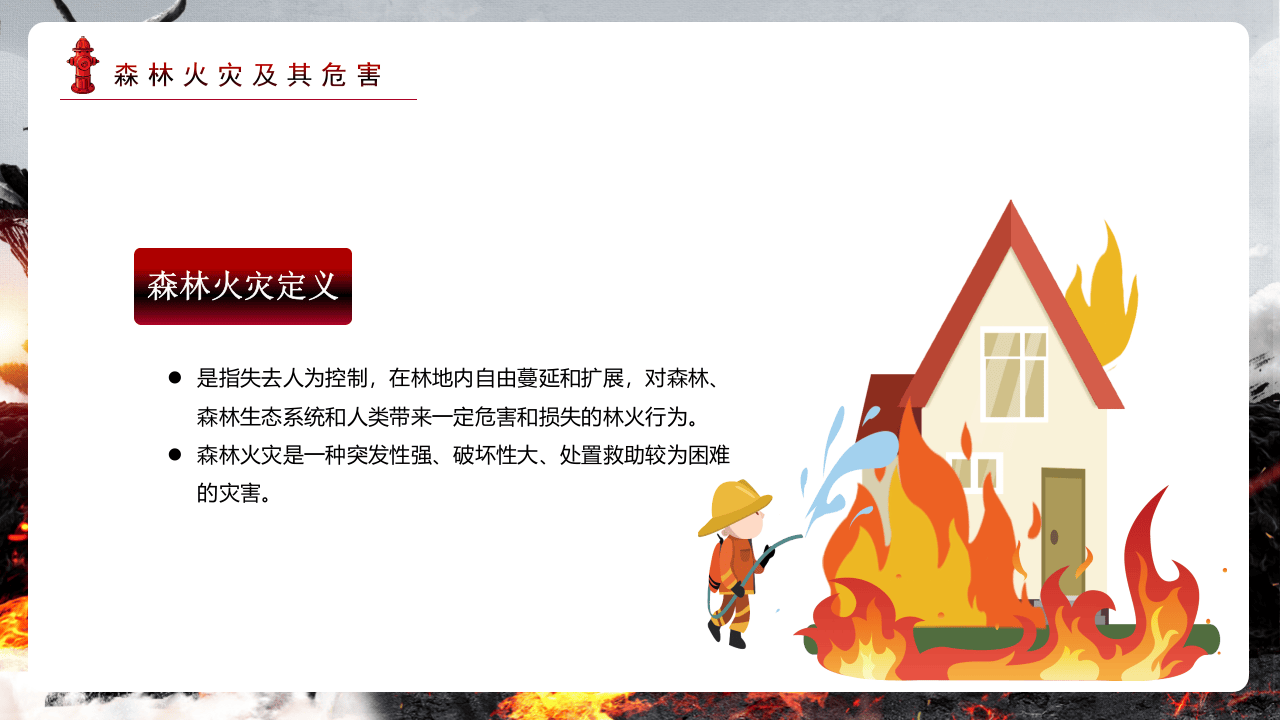 森林防火不要让英雄的血白流.pptx 第4页