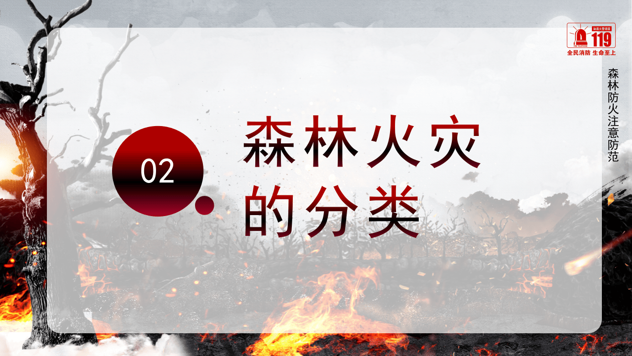 森林防火不要让英雄的血白流.pptx 第5页