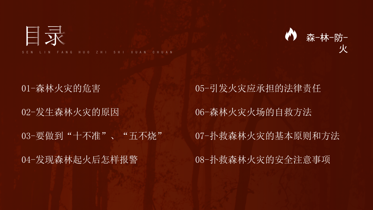 林防火培训.pptx 第2页