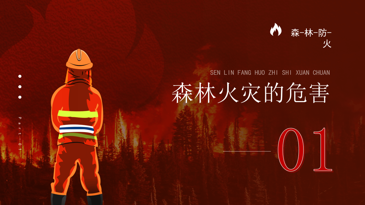 林防火培训.pptx 第3页