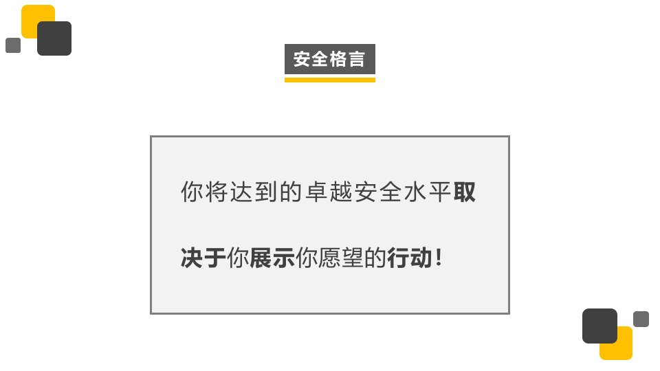 著名外企工艺安全管理.pptx 第4页
