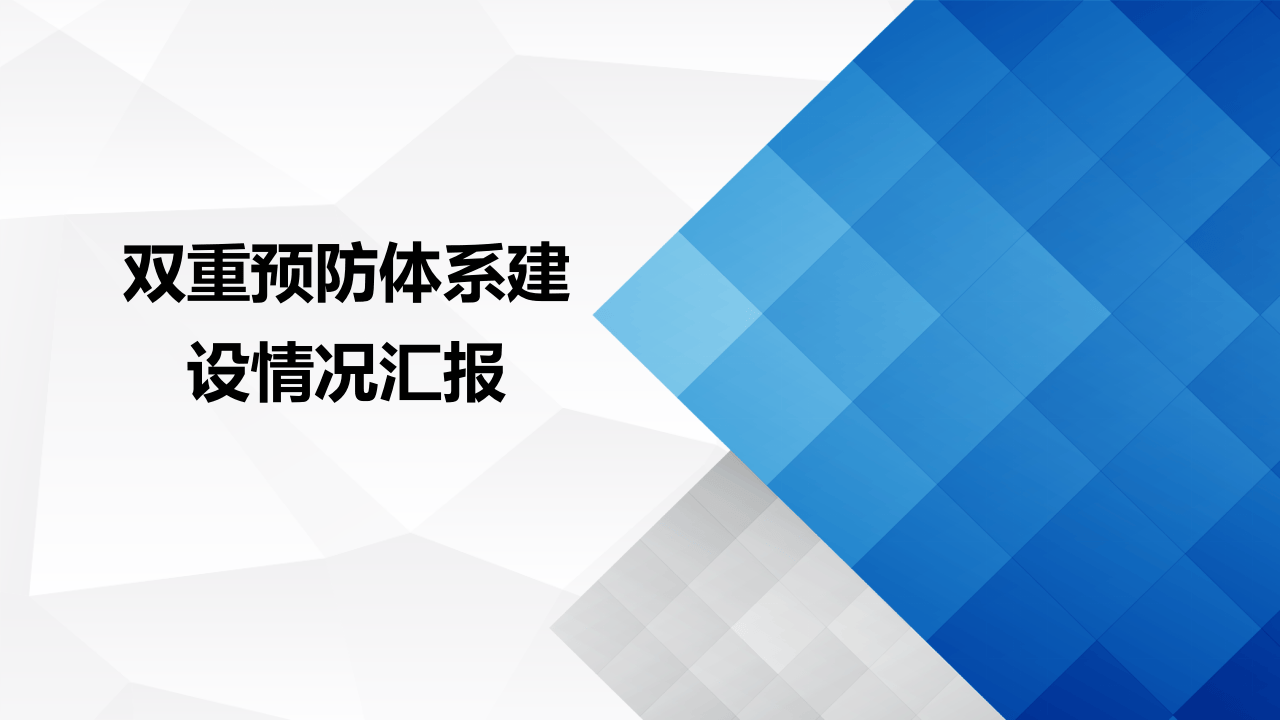 双重预防体系建设情况汇报.ppt 第1页