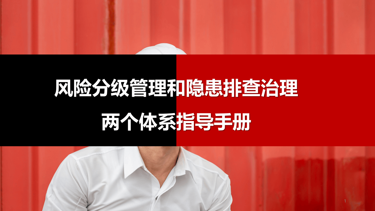 两个体系手册.pptx 第1页