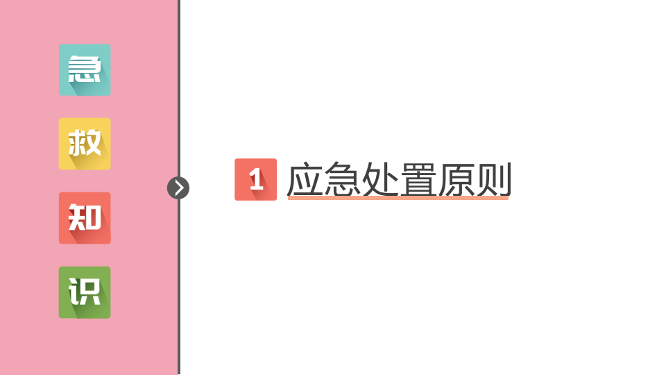 急处置与自救互救知识培训PPT.ppt 第3页