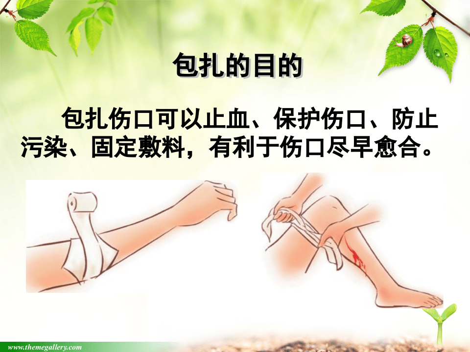 创伤救护-包扎技术.ppt 第2页