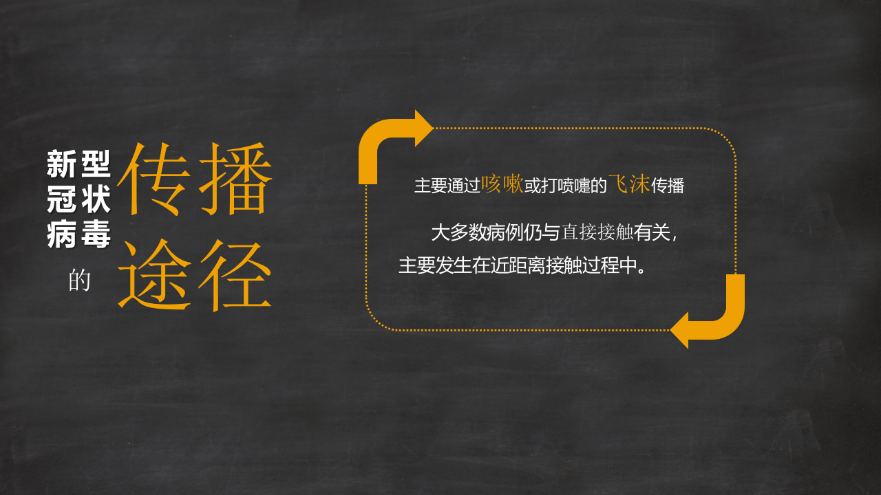 疫情防控：新冠病毒常识科普宣讲.pptx 第3页